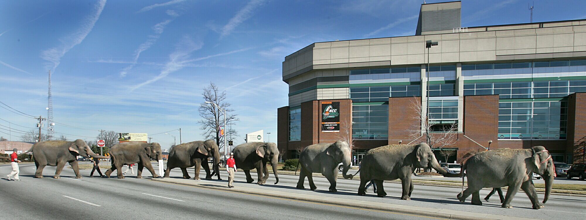 elephant walk (copy)